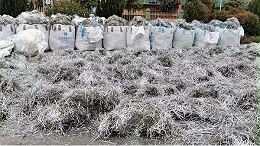 深圳废镍回收厂家：唯有努力，没有撤退可言！